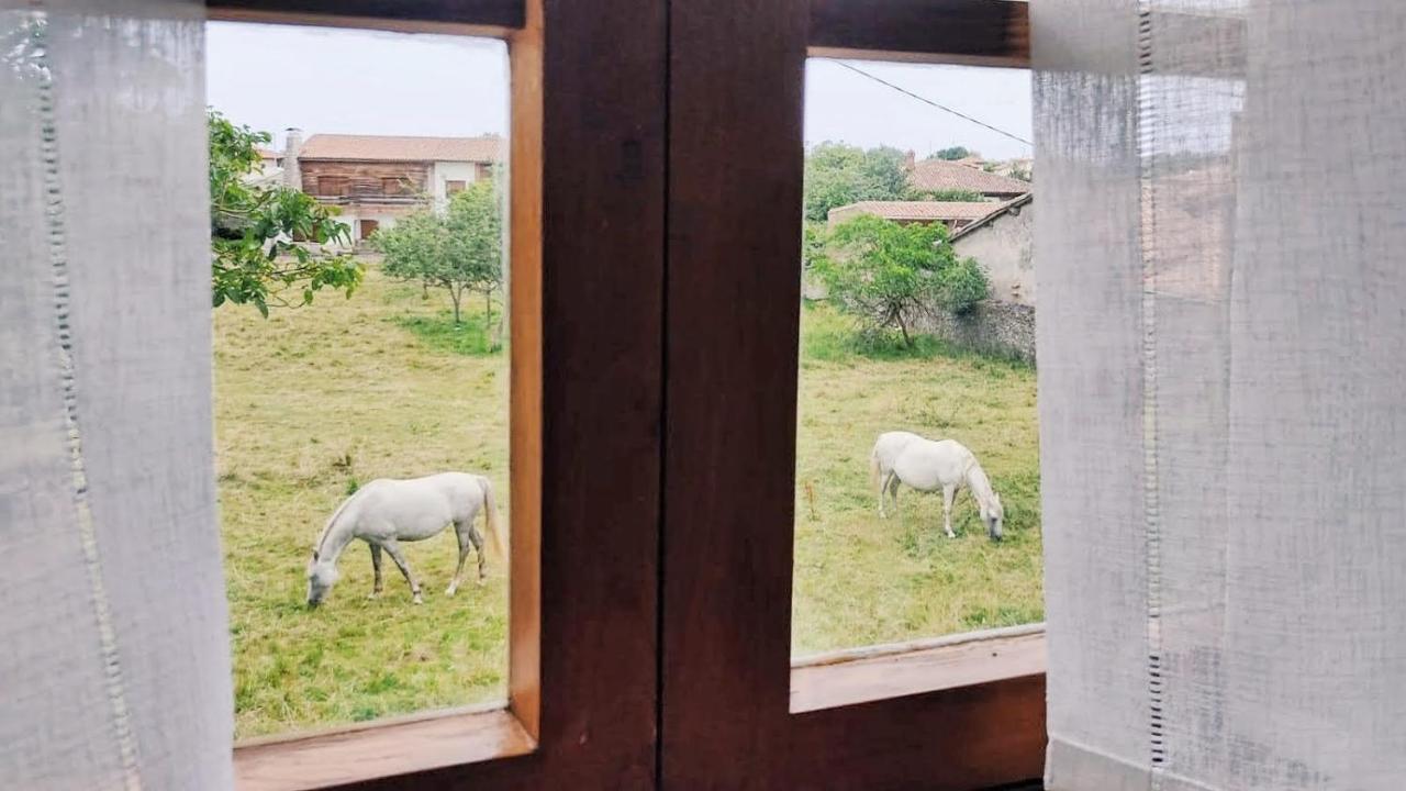 Casa Dolfin - "Tu Hogar En La Costa Del Paraiso" ξενώνας Navés Εξωτερικό φωτογραφία